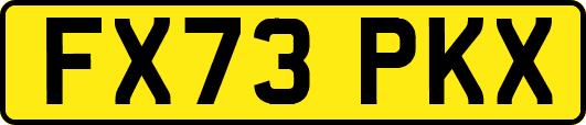 FX73PKX