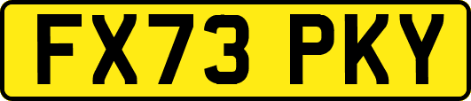 FX73PKY