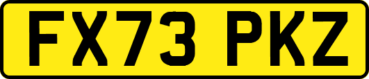 FX73PKZ