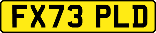 FX73PLD