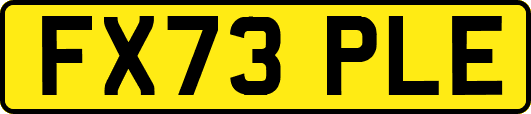 FX73PLE