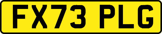FX73PLG