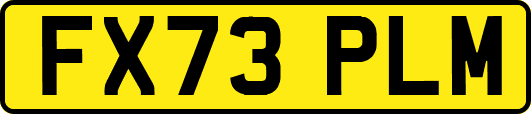 FX73PLM
