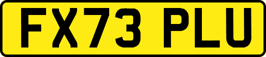 FX73PLU