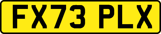 FX73PLX