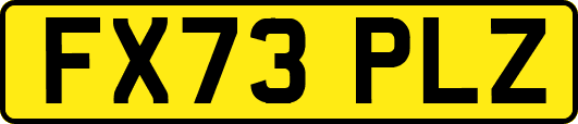 FX73PLZ