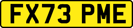 FX73PME