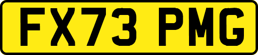 FX73PMG