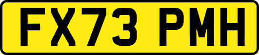 FX73PMH