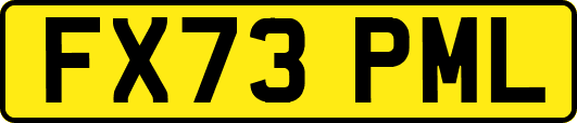 FX73PML
