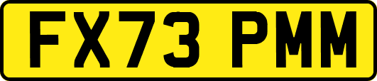 FX73PMM