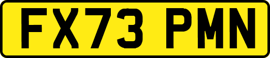 FX73PMN