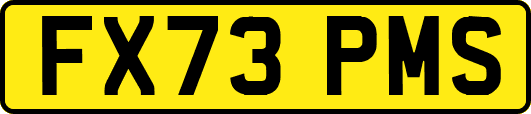 FX73PMS