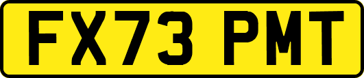 FX73PMT