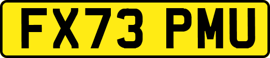 FX73PMU