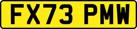 FX73PMW
