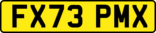 FX73PMX
