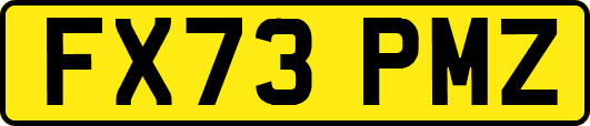 FX73PMZ