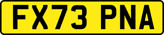 FX73PNA