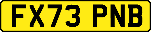 FX73PNB