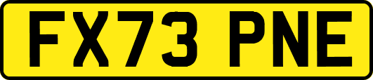 FX73PNE