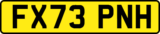 FX73PNH
