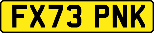 FX73PNK