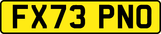 FX73PNO