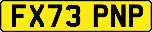 FX73PNP