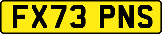 FX73PNS