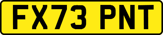 FX73PNT
