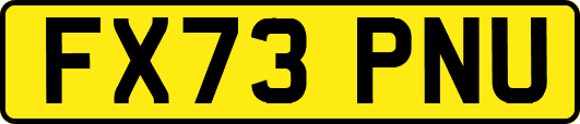FX73PNU