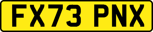 FX73PNX