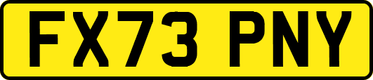 FX73PNY