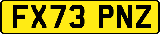 FX73PNZ