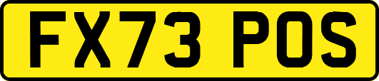 FX73POS
