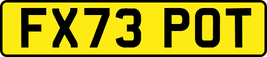 FX73POT