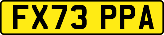 FX73PPA