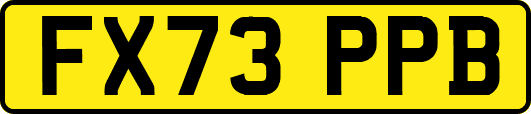FX73PPB