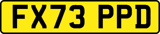 FX73PPD