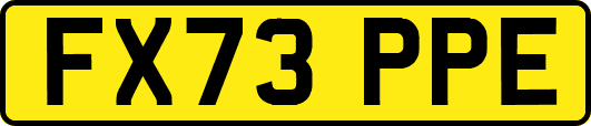 FX73PPE