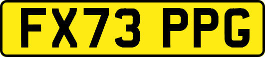FX73PPG