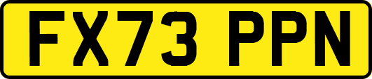 FX73PPN