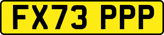 FX73PPP