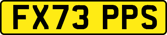 FX73PPS