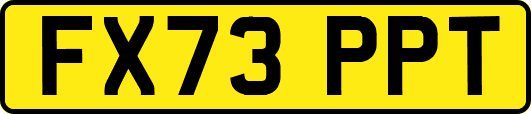 FX73PPT