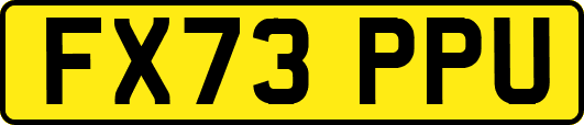 FX73PPU