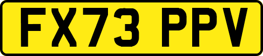 FX73PPV