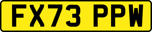 FX73PPW