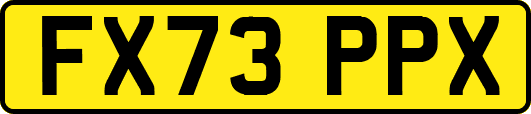FX73PPX